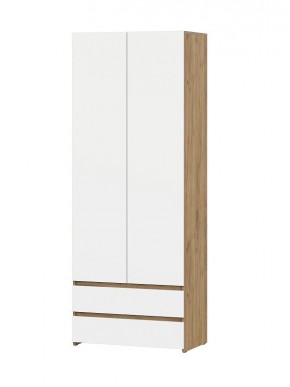НЕКСТ 1 Шкаф двухстворчатый с ящиками в Серове - serov.mebel24.online | фото