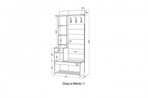 ОЛЬГА-МИЛК Прихожая (модульная) в Серове - serov.mebel24.online | фото 2