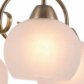 Подвесная люстра Arte Lamp Margo A9317LM-5AB в Серове - serov.mebel24.online | фото 2