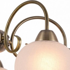 Подвесная люстра Arte Lamp Margo A9317LM-5AB в Серове - serov.mebel24.online | фото 3