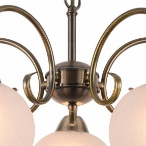 Подвесная люстра Arte Lamp Margo A9317LM-5AB в Серове - serov.mebel24.online | фото 4
