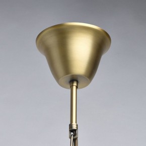 Подвесная люстра Chiaro Оделия 1 619011408 в Серове - serov.mebel24.online | фото 13