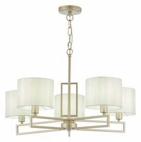 Подвесная люстра EVOLUCE Danae SLE105803-05 в Серове - serov.mebel24.online | фото 2