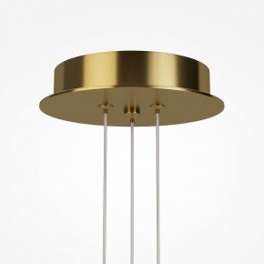 Подвесная люстра Maytoni Arana MOD401PL-L108BS3K в Серове - serov.mebel24.online | фото 7