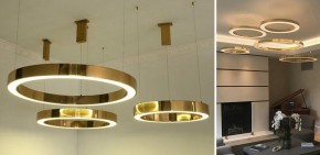 Подвесной светильник Imperiumloft Light Ring Horizontal 40.1454-100 в Серове - serov.mebel24.online | фото 2