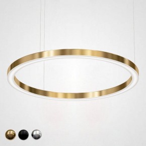 Подвесной светильник Imperiumloft Light Ring Horizontal 40.1454-120 в Серове - serov.mebel24.online | фото