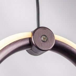 Подвесной светильник Lightstar Caramello 796169 в Серове - serov.mebel24.online | фото 10