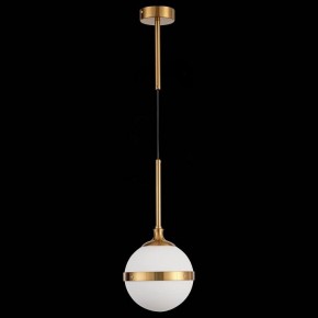 Подвесной светильник ST-Luce Arbe SL1157.303.01 в Серове - serov.mebel24.online | фото 4