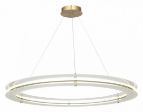 Подвесной светильник ST-Luce FAGY SL6245.213.01 в Серове - serov.mebel24.online | фото 4