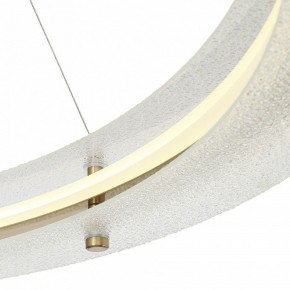 Подвесной светильник ST-Luce FAGY SL6245.213.01 в Серове - serov.mebel24.online | фото 6