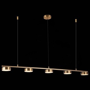 Подвесной светильник ST-Luce Pances SL6000.303.05 в Серове - serov.mebel24.online | фото 5