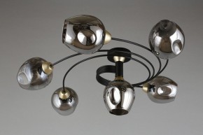 Потолочная люстра Aployt Flor APL.611.17.06 в Серове - serov.mebel24.online | фото 1