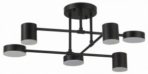 Потолочная люстра EVOLUCE Nobel SLE201042-06 в Серове - serov.mebel24.online | фото 11