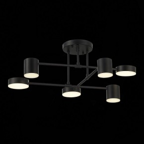 Потолочная люстра EVOLUCE Nobel SLE201042-06 в Серове - serov.mebel24.online | фото 13