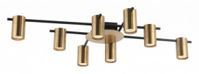 Потолочная люстра Favourite Topper 2827-8P в Серове - serov.mebel24.online | фото 2