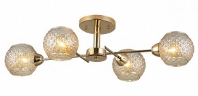 Потолочная люстра Rivoli Amalia Б0050815 в Серове - serov.mebel24.online | фото 3