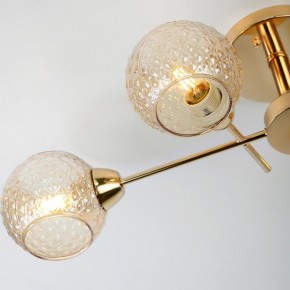 Потолочная люстра Rivoli Amalia Б0050815 в Серове - serov.mebel24.online | фото 8
