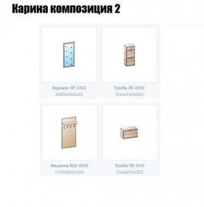 Прихожая Карина (модульная) в Серове - serov.mebel24.online | фото 6