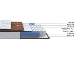 PROxSON Матрас Active F Roll (Ткань Трикотаж Эко) 80x200 в Серове - serov.mebel24.online | фото 3