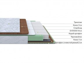 PROxSON Матрас Green Duo M/F (Tricotage Dream) 80x200 в Серове - serov.mebel24.online | фото 1