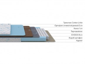 PROxSON Матрас Совенок (Cotton Little PROSON) 60x170 в Серове - serov.mebel24.online | фото 2