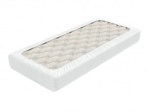 PROxSON Защитный чехол Aqua Save Plush S (Ткань влагостойкая Coral Fleece) 120x190 в Серове - serov.mebel24.online | фото 2