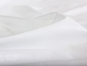 PROxSON Защитный чехол Aqua Save Plush S (Ткань влагостойкая Coral Fleece) 180x195 в Серове - serov.mebel24.online | фото 6