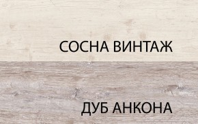 Шкаф 2DG2S, MONAKO, цвет Сосна винтаж/дуб анкона в Серове - serov.mebel24.online | фото