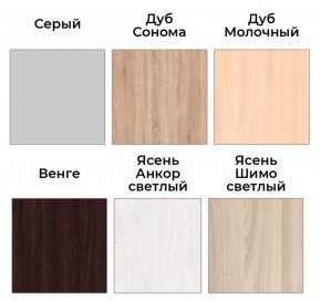 Шкаф-купе ХИТ 22-4-14-11 (420) в Серове - serov.mebel24.online | фото 5