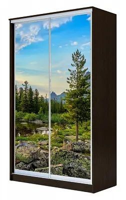 Шкаф-купе ХИТ 23-14-77 ПРИРОДА в Серове - serov.mebel24.online | фото