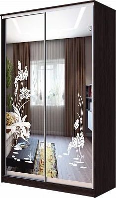 Шкаф-купе ХИТ 23-4-12-66 ЦАПЛИ в Серове - serov.mebel24.online | фото