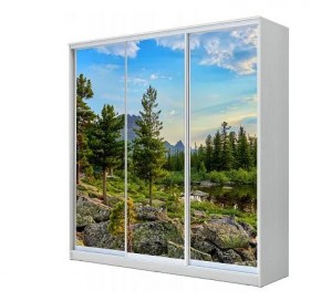 Шкаф-купе ХИТ 23-4-20-777 (420) в Серове - serov.mebel24.online | фото