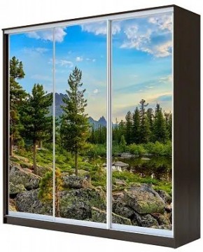 Шкаф-купе ХИТ 23-4-20-777 ПРИРОДА в Серове - serov.mebel24.online | фото