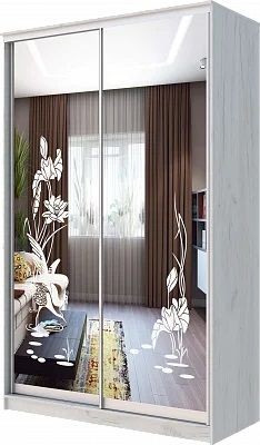 Шкаф-купе ХИТ 24-14-66 ЦАПЛИ в Серове - serov.mebel24.online | фото
