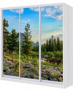 Шкаф-купе ХИТ 24-18/2-777 ПРИРОДА в Серове - serov.mebel24.online | фото