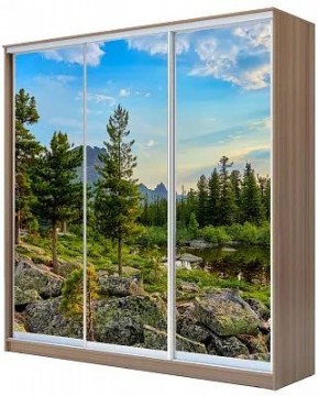 Шкаф-купе ХИТ 24-20/2-777 ПРИРОДА в Серове - serov.mebel24.online | фото