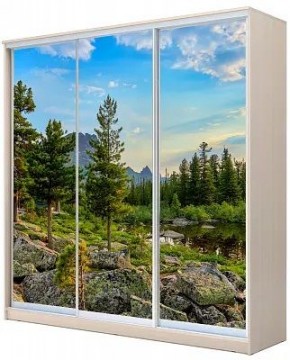 Шкаф-купе ХИТ 24-4-20-777 ПРИРОДА в Серове - serov.mebel24.online | фото