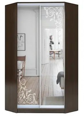 Шкаф-купе ХИТ-У-23-4-66 ОРНАМЕНТ в Серове - serov.mebel24.online | фото