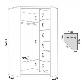 Шкаф-купе ХИТ-У-R-24-64-15 в Серове - serov.mebel24.online | фото 3