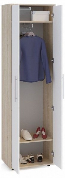 Шкаф платяной ШО-1 в Серове - serov.mebel24.online | фото 2