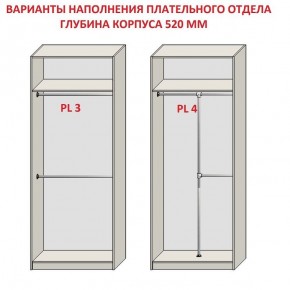 Шкаф распашной серия «ЗЕВС» (PL3/С1/PL2) в Серове - serov.mebel24.online | фото 10