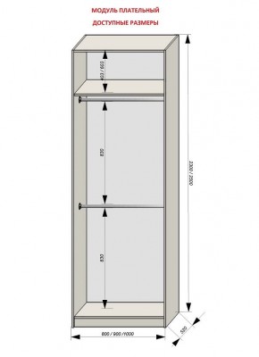 Шкаф распашной серия «ЗЕВС» (PL3/С1/PL2) в Серове - serov.mebel24.online | фото 12