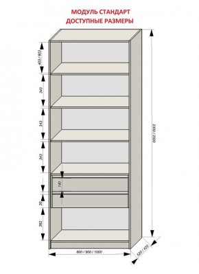 Шкаф распашной серия «ЗЕВС» (PL3/С1/PL2) в Серове - serov.mebel24.online | фото 13