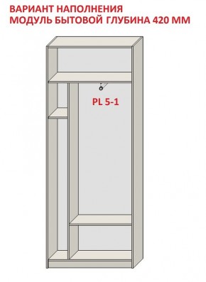 Шкаф распашной серия «ЗЕВС» (PL3/С1/PL2) в Серове - serov.mebel24.online | фото 4