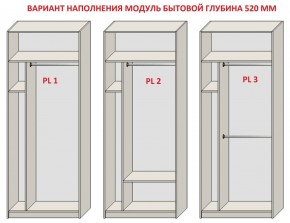 Шкаф распашной серия «ЗЕВС» (PL3/С1/PL2) в Серове - serov.mebel24.online | фото 5