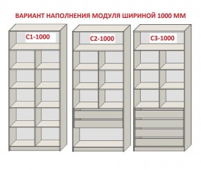 Шкаф распашной серия «ЗЕВС» (PL3/С1/PL2) в Серове - serov.mebel24.online | фото 7