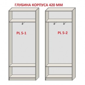 Шкаф распашной серия «ЗЕВС» (PL3/С1/PL2) в Серове - serov.mebel24.online | фото 8