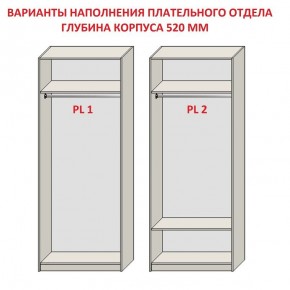 Шкаф распашной серия «ЗЕВС» (PL3/С1/PL2) в Серове - serov.mebel24.online | фото 9