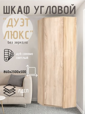 Шкаф угловой Дуэт Люкс без зеркала в Серове - serov.mebel24.online | фото 5