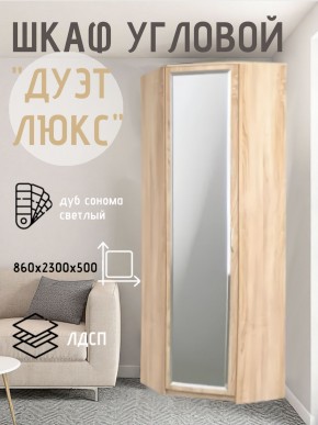 Шкаф угловой Дуэт Люкс с зеркалом в Серове - serov.mebel24.online | фото 1